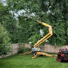 Mulching Services in Annapolis Neck, MD